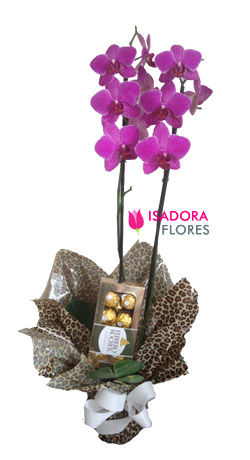 Orquídea + Chocolate Ferrero Rocher