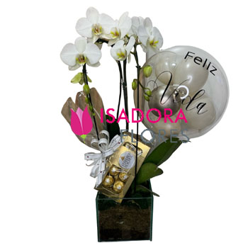 Orquidea com balão personalizado e Ferrero Rocher