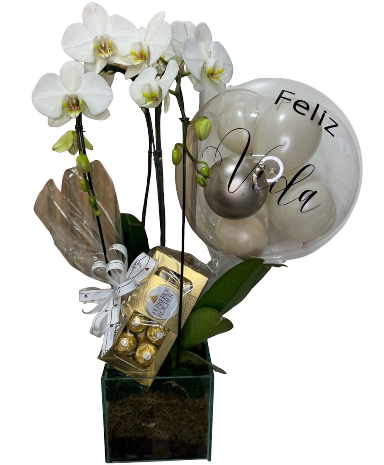 Orquidea com balão personalizado e Ferrero Rocher