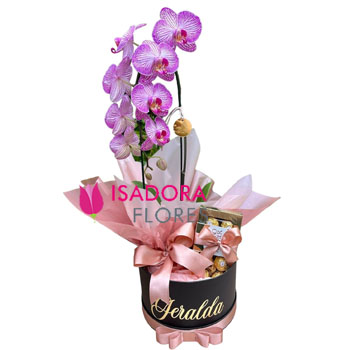 Box Luxo com orquídea e ferrero rocher