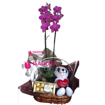 Kit com Orquídea